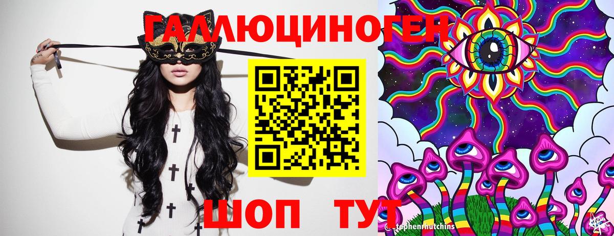 Пушкино  продажа наркотиков  Вход с VPN  Галлюциногенные грибы Psilocybe 