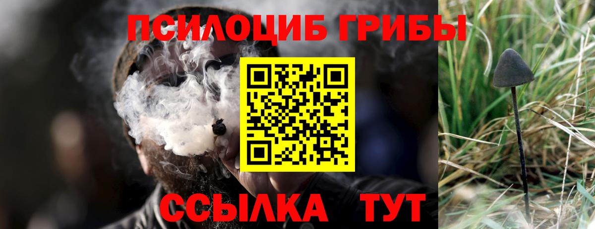 Псилоцибиновые грибы прущие грибы Пушкино